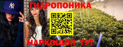 мяу мяу мука Будённовск
