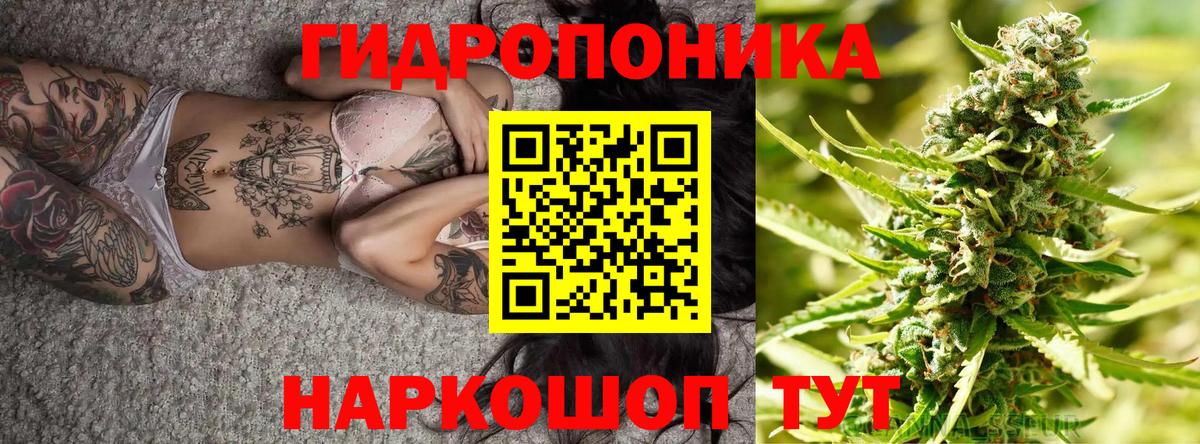Отрадный  Каннабис SATIVA & INDICA  Каннабис марихуана  Вход с VPN  Бошки марихуана сатива 